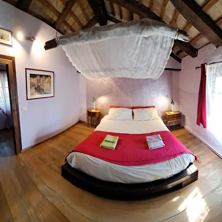 Agriturismo Il Cammino San Vito al Torre Exteriér fotografie